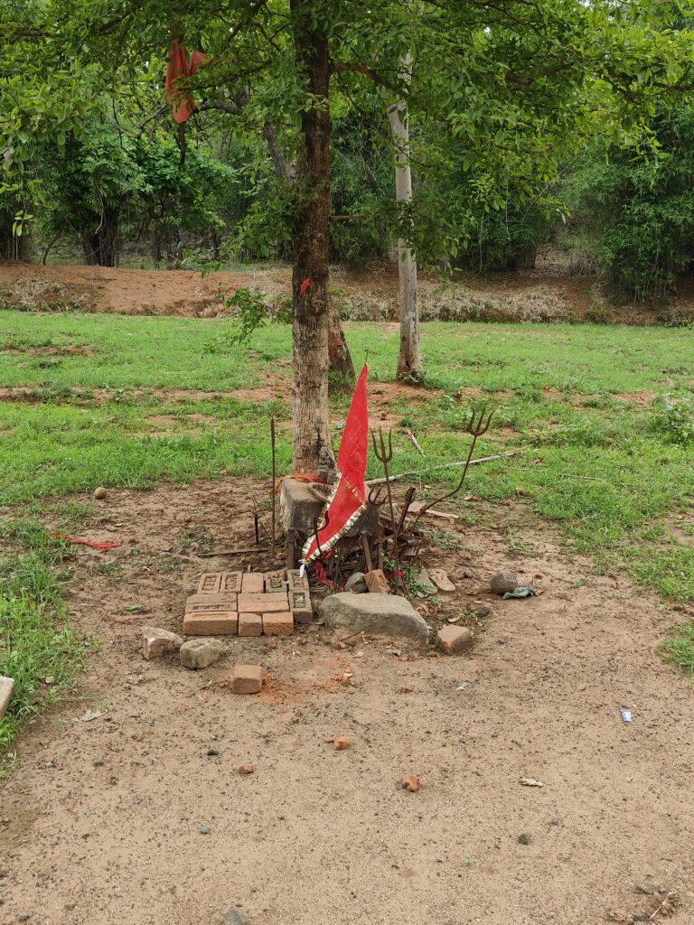 gates in bandhavgarh.