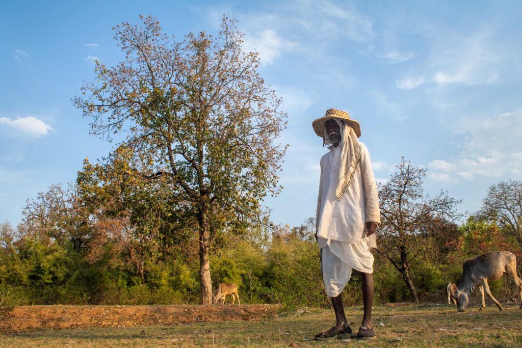 buffer zones in bandhavgarh