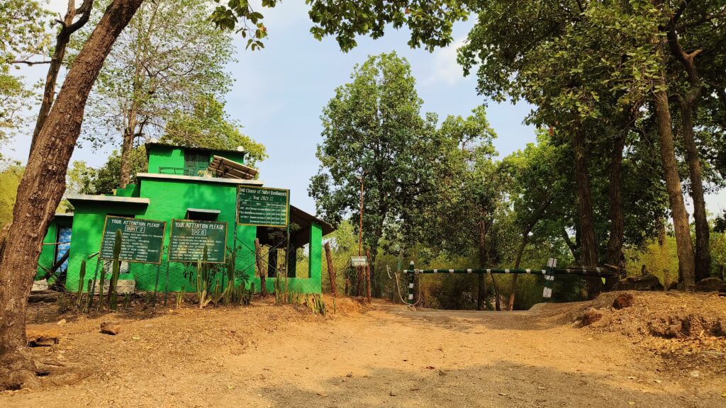 Tiger safari in bandhavgarh