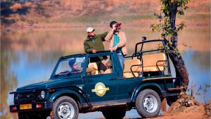 Bandhavgarh safari online booking
