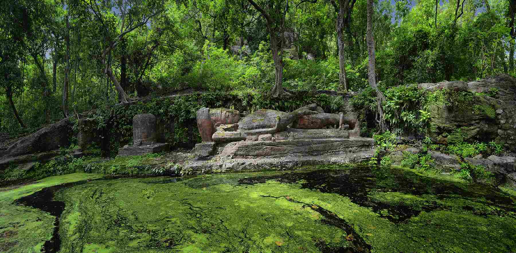Best Time to Visit Bandhavgarh National Park